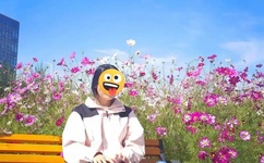 在线麻婆豆腐传媒视频免费